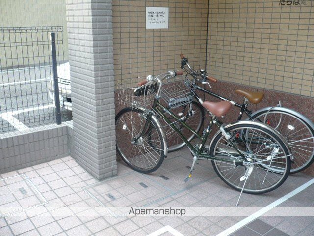 アイン橘のその他写真