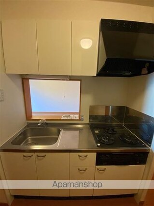 レオネクストグリーンフィールド[1LDK/40.24m2]のキッチン