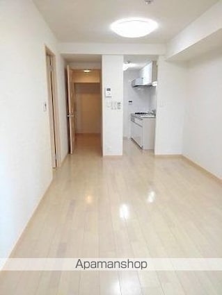 フェスタ元浅草[1LDK/45.6m2]のその他内装