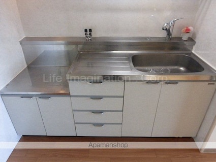 エクシブ[2DK/57.2m2]のキッチン