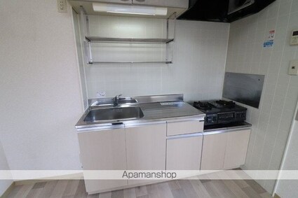 サン・メゾン[2DK/50.42m2]のキッチン