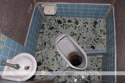 広島県尾道市向東町[3DK/43.2m2]のトイレ