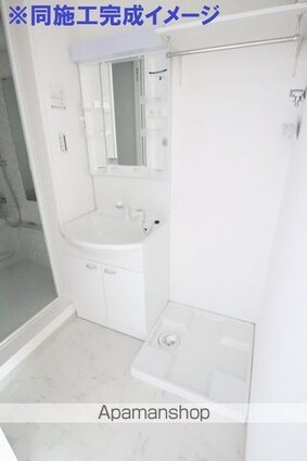 メゾン・ドゥ・フローラ[1K/28.98m2]の洗面所