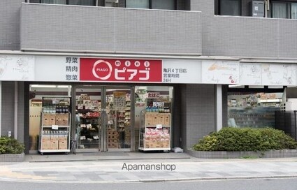 パークアクシス錦糸町・親水公園[1K/26.3m2]の周辺1