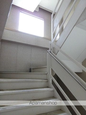 サンホワイトカメリアのその他写真