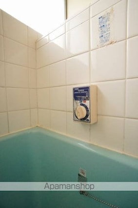 埼玉県白岡市篠津[2DK/34.78m2]の内装5