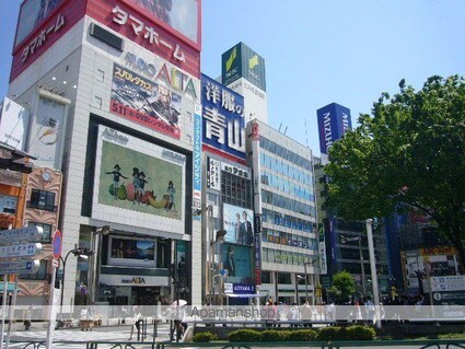 東京都新宿区新宿２丁目[1DK/32.6m2]の共用部1