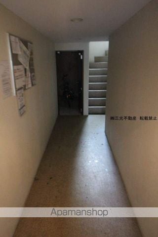 シャイニングスターのその他写真