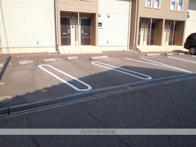 アリッサムのその他写真
