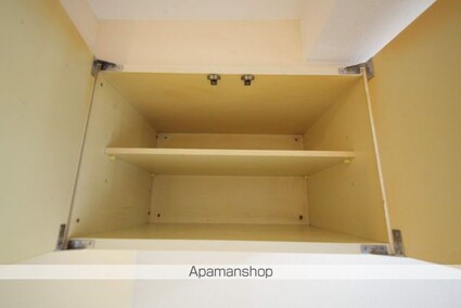 リエス多摩センター[1R/16.82m2]の収納