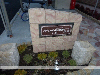 メディカル・中小路南Ⅰ[1LDK/45.09m2]の共用部3