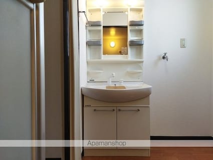 サンモデスト[2LDK/62.93m2]の洗面所