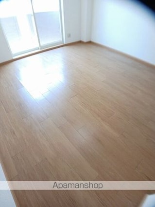 シャン・ミリューⅡＤ[1R/33.15m2]の内装