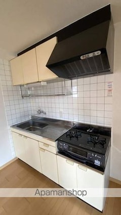 岡山県岡山市北区大供２丁目[1LDK/44.33m2]のキッチン