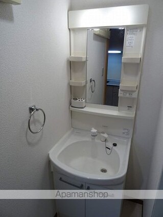 グレイスハイツ新寺[1K/29.73m2]の洗面所