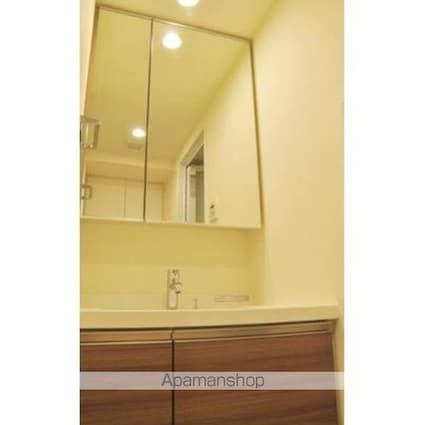 パークアクシス豊洲キャナル[1LDK/38.79m2]の洗面所