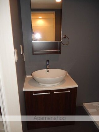 フェリオ平安通[1K/20.93m2]の洗面所