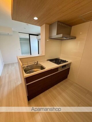 ルリアン大島[1LDK/38.69m2]のキッチン