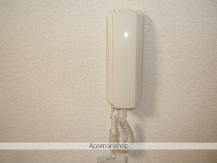 ピア・フェニックスⅡ[1K/18.15m2]のセキュリティ