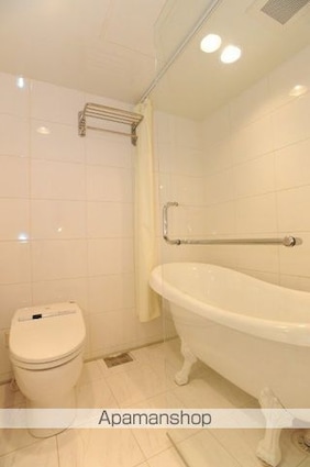 カスタリア銀座[1R/29.57m2]のその他内装