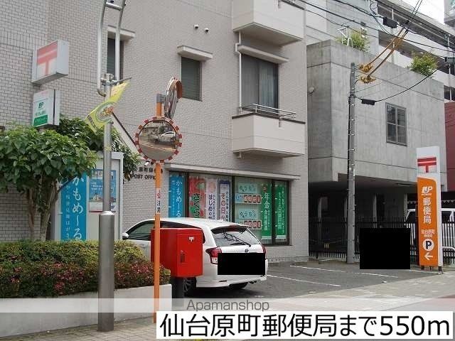 カモミールの周辺写真