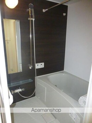 Ｖｉｅｓｅｎ　Ｓｃｈｌｏｓｓ　ヴィーゼン　シュロス[1LDK/35.82m2]のバス