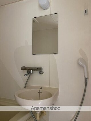 岡ノ城ハイツⅡ[2DK/43.23m2]の洗面所