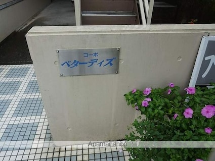コーポベターデイズ[1R/23.92m2]の共用部1
