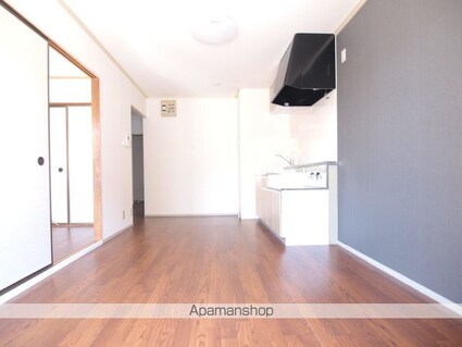 プレジール高出Ｂ棟[2DK/46.09m2]の内装5