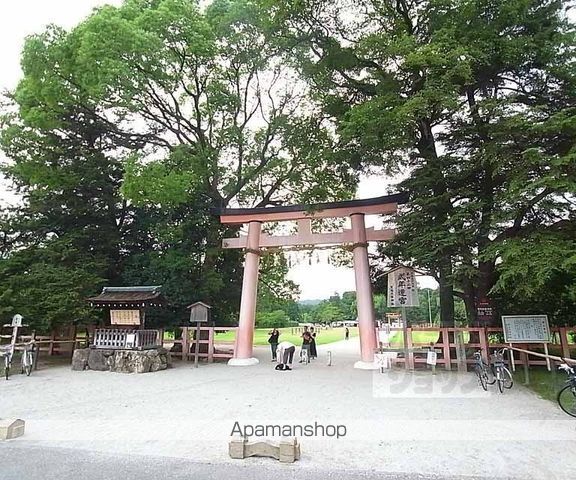 パープルバンブーの周辺写真