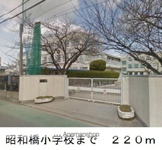 プラシードの周辺写真