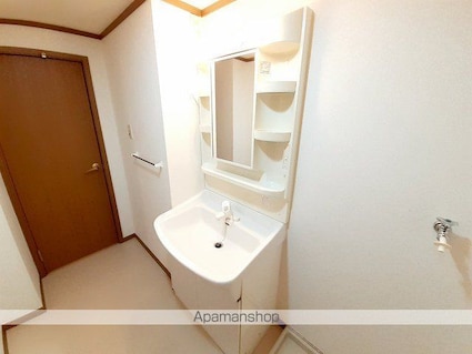 プロムナード[2DK/47.93m2]の洗面所