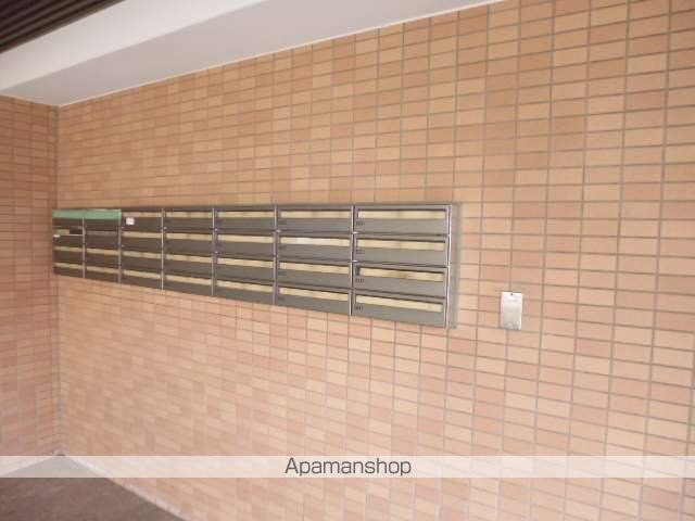 エリジオン伊藤のその他写真