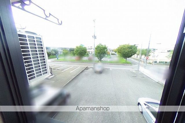 ビオラセアのその他写真