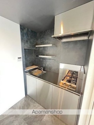 レジディア西麻布[1R/33.83m2]のキッチン