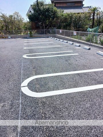 プラシードのその他写真