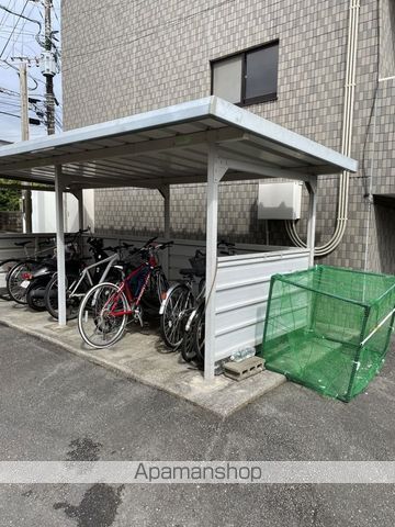 クレストスカーラカクのその他写真