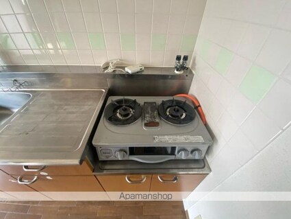 フォブールタウン成合Ｂ棟[2DK/44.72m2]の内装5