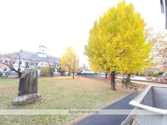 フレグランスアプリコットのその他写真