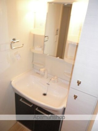 ＴＲＩーＳＴＡＧＥ[2LDK/66.28m2]の洗面所