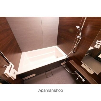 コンフォリア新宿イーストサイドタワー[1LDK/55.53m2]のその他内装4