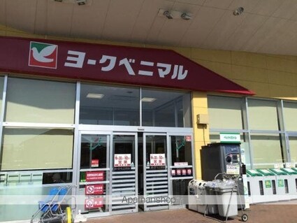 ＲＵＩＮＳ・ＨＩＬＬ（ルインズ・ヒル）[1LDK/45.5m2]の周辺5