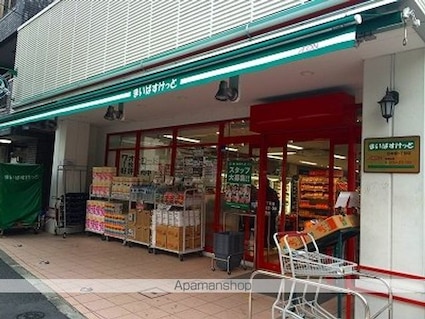 レオネクストリヴェール　ＳＲＫ[1R/27.8m2]の周辺