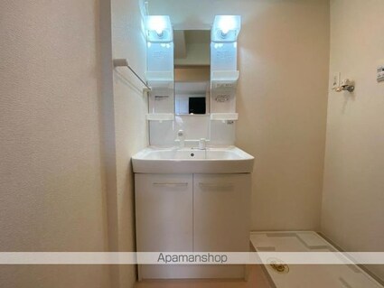 ミルト仏生山Ａ[1LDK/37.76m2]の洗面所