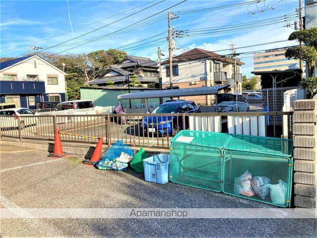 サンフラワーNのその他写真