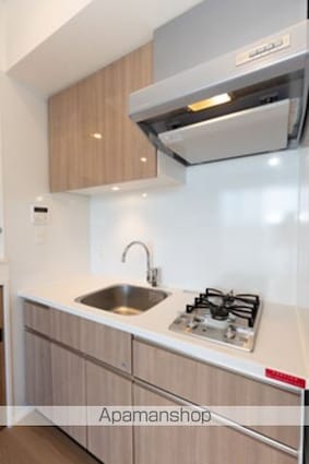 パークアクシス学芸大学レジデンス[1R/26.32m2]のキッチン