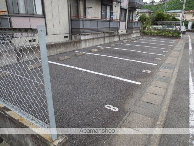 カメリアのその他写真
