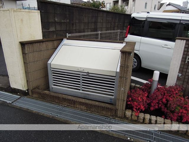 ラフィーナのその他写真