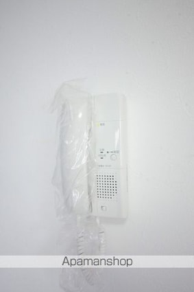 リエス多摩センター[1R/16.82m2]のセキュリティ