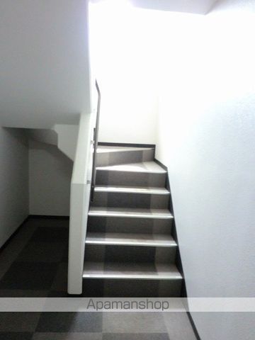 FAIRYのその他写真